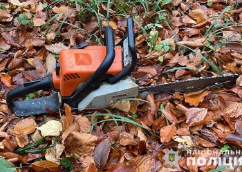 На Тернопільщині чоловік рубав дерева у заповіднику