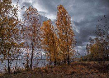 Погода на Тернопільщині 2-4 листопада – очікується мороз