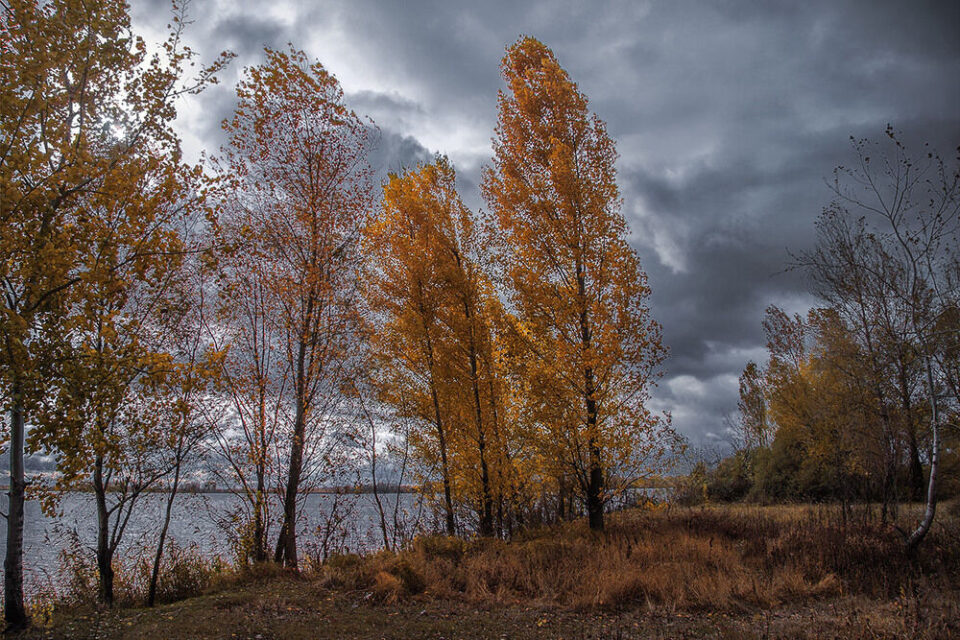 вітер осінь