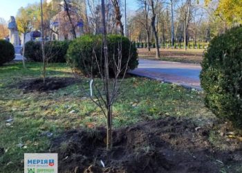 Соборний парк у Черкасах поповнився новими деревами — Новости Черкасс