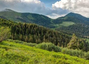Суд повернув у державну власність 2 га землі в “Королівських Бескидах” — Львівщіна
