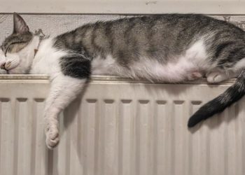 В Одесі 4 листопада почнуть вмикати центральне опалення | Південний Кур’єр