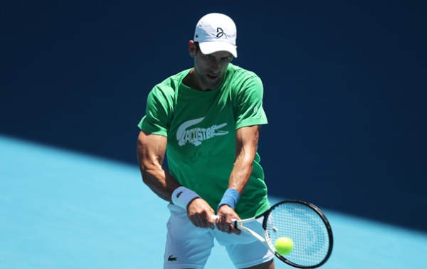 Ведущие на ТВ назвали Джоковича лжецом