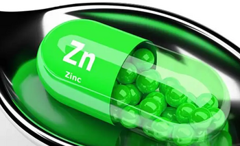 Чому важливо купити цинк для підтримки здоров’я: основні властивості та користь | Південний Кур’єр