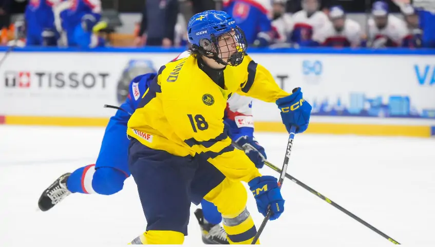 МЧС-2025. Словаччина – Швеція. Відеотрансляція