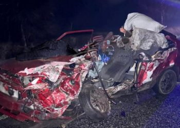 Поліцейські Черкащини виявили у нетверезого водія боєприпаси та набої — Новости Черкасс