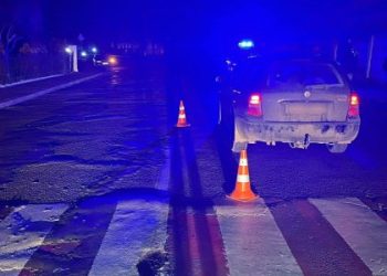 Водій Škoda збив двох людей на пішохідному переході у Стрию — Львівщіна