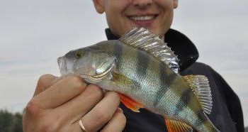 Черкащина – лідер зариблення Кременчуцького водосховища у 2024 році — Новости Черкасс