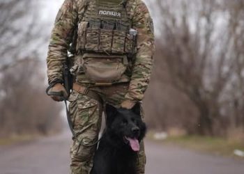 Чорний вівчар знайшов родину після візиту спецпризначенців до притулку тварин-переселенців — Новости Черкасс