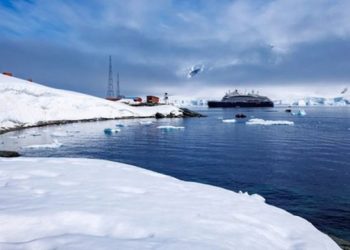 Українські судна встановили трирічний рекорд з рибного промислу біля Антарктики