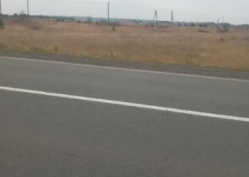 Львівська підприємиця купила за 17,5 млн грн землю для будівництва у Великих Мостах — Львівщіна