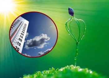 Погода у Тернополі 3-7 лютого – буде мороз та сніг, очікується похолодання, карти погоди