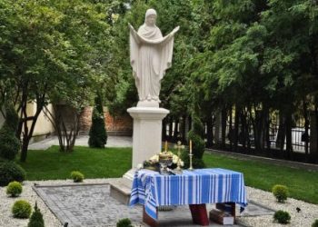 Посадовиця МСЕК Львівщини задекларувала фігуру Богородиці — Львівщіна