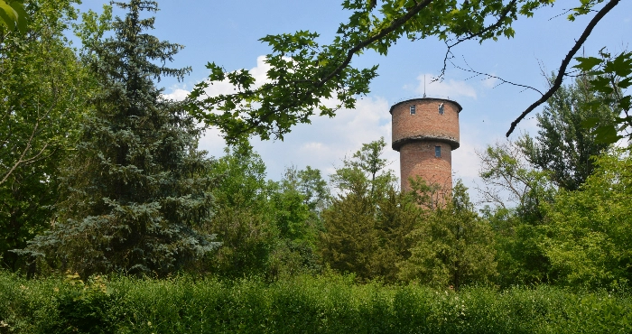 Наддніпрянське / Вікіпедія