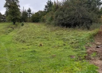 В урочищі на Стрийщині за 830 тис. грн викупили землю під будівництво — Львівщіна