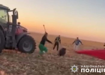 Знайшли третього фігуранта справи про жорстоке знущання з диких кабанів на Тернопільщині | Терміново новини Тернополя