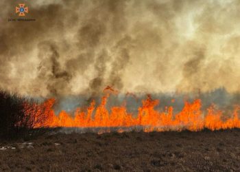 Черкаські рятувальники ліквідували шість пожеж на відкритих територіях — Новости Черкасс