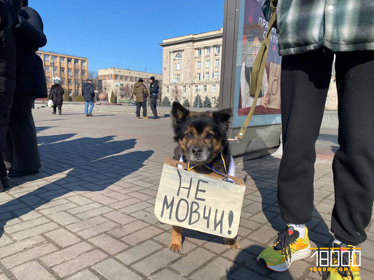 Пес із плакатом "Не мовчи"