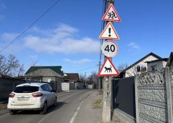 Дорожній знак з котом у Дніпрі: що він означає | АВТО НОВИНИ |