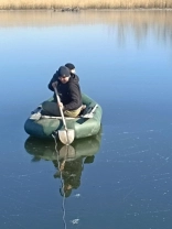Порятунок лебедів / Дар