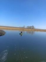 Порятунок лебедів / Дар