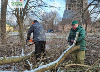 Соборний парк Черкас продовжують розчищувати від сухостою  — Новости Черкасс