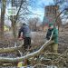 Соборний парк Черкас продовжують розчищувати від сухостою  — Новости Черкасс