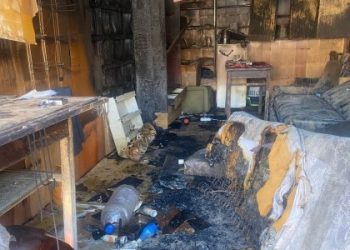 Трагедія у Львові: пожежа на перетримці забрала життя 11 котів