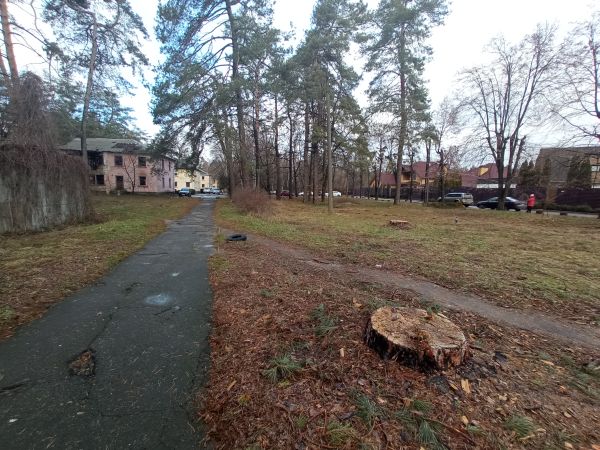 Фото: Прочерк