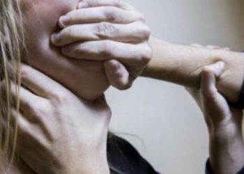 Затягнув у чагарники: судитимуть 23-річного уманчанина за зґвалтування — Новости Черкасс