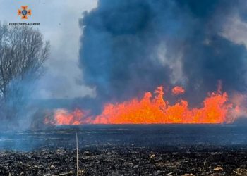 15 за добу: рятувальники продовжують боротись з пожежами на відкритих територіях  — Новости Черкасс