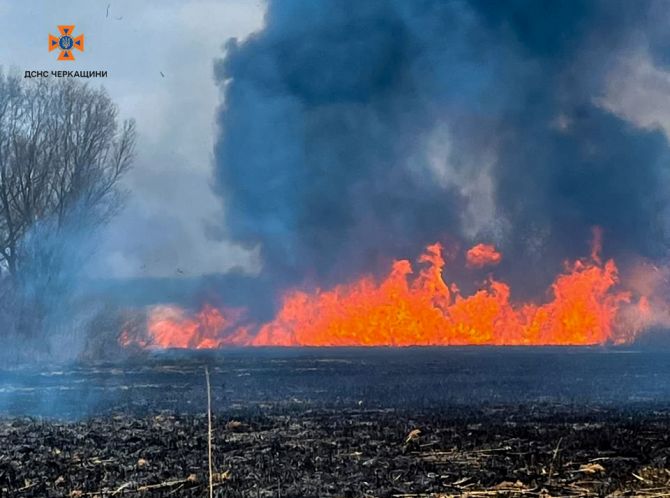 486715914_1070497198448320_8425783280855246638_n