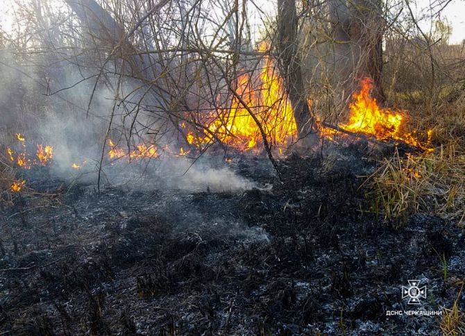 486725522_1073933918104648_4142951155692491469_n