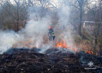 18 пожеж гасили рятувальники на відкритій території Черкащини — Новости Черкасс