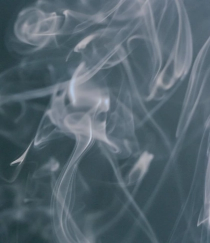 У Львові 21-річну жінку госпіталізували через отруєння чадним газом