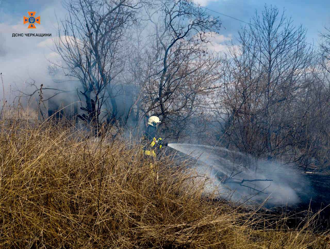 займання трави