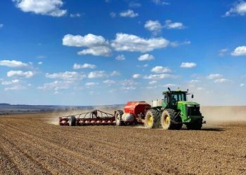 Черкаські аграрії залучили майже 652 млн грн кредитних коштів на розвиток — Новости Черкасс