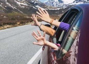 Де можна їздити з українським посвідченням водія: перелік країн | АВТО НОВИНИ |