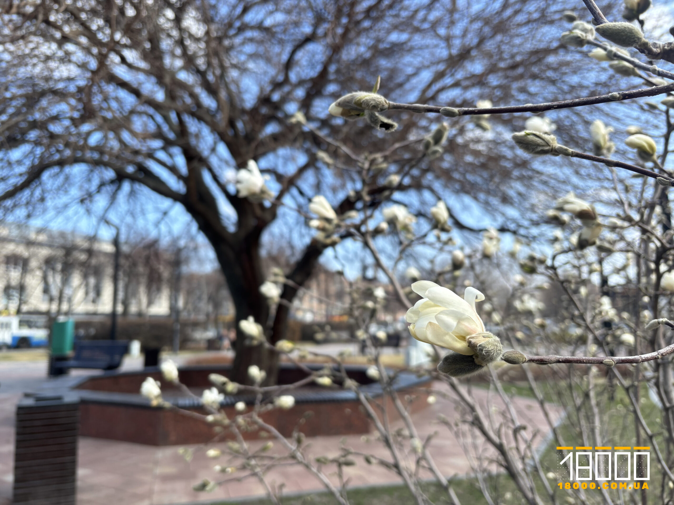 Сквер юність 