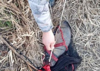 Екоінспектори оштрафували 11 мешканців Львівщини за порушення риболовлі — Львівщіна