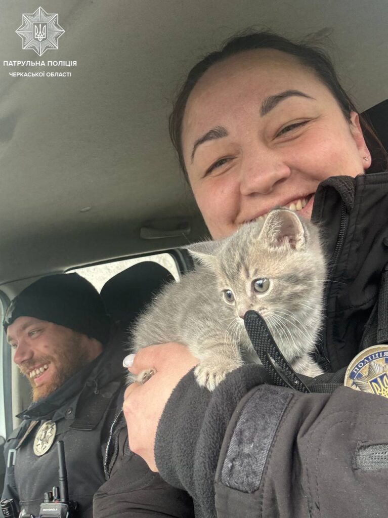 патрульна з кошеням