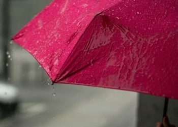 Погода у Львові та області: дощі, туман і плюсова температура — LVIV.MEDIA