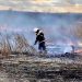 Понад 10 гектарів знищив вогонь на Черкащині минулої доби — Новости Черкасс