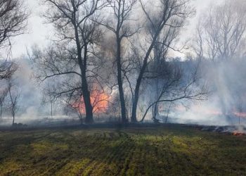 Понад пів сотні пожеж сухої рослинності ліквідували вогнеборці за добу  — Новости Черкасс