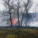 Понад пів сотні пожеж сухої рослинності ліквідували вогнеборці за добу — Новости Черкасс