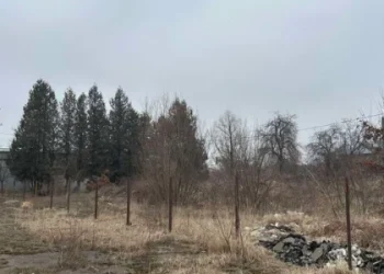 Промислову землю в Дрогобичі продали за 600 тис. грн — Львівщіна