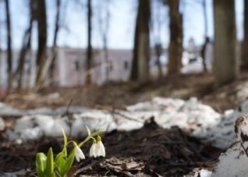 Синоптики прогнозують до 8 градусів тепла на Львівщині у понеділок — Львівщіна