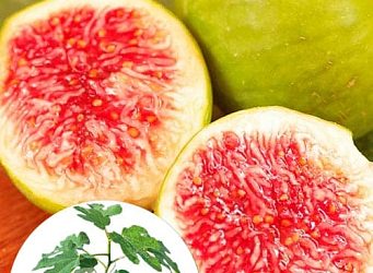 Як інжир може бути корисним для серця та травної системи