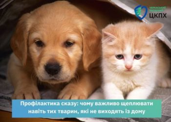 Від нападу хворих на сказ тварин постраждало 40 черкащан  — Новости Черкасс