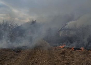 Знищені будівлі та чоловік з опіками: за добу на Львівщині було 189 пожеж сухостою — Львівщіна